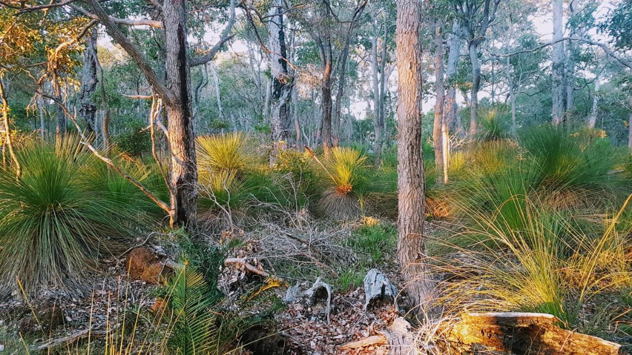 Margaret River Bussells Bushland Cottages المظهر الخارجي الصورة