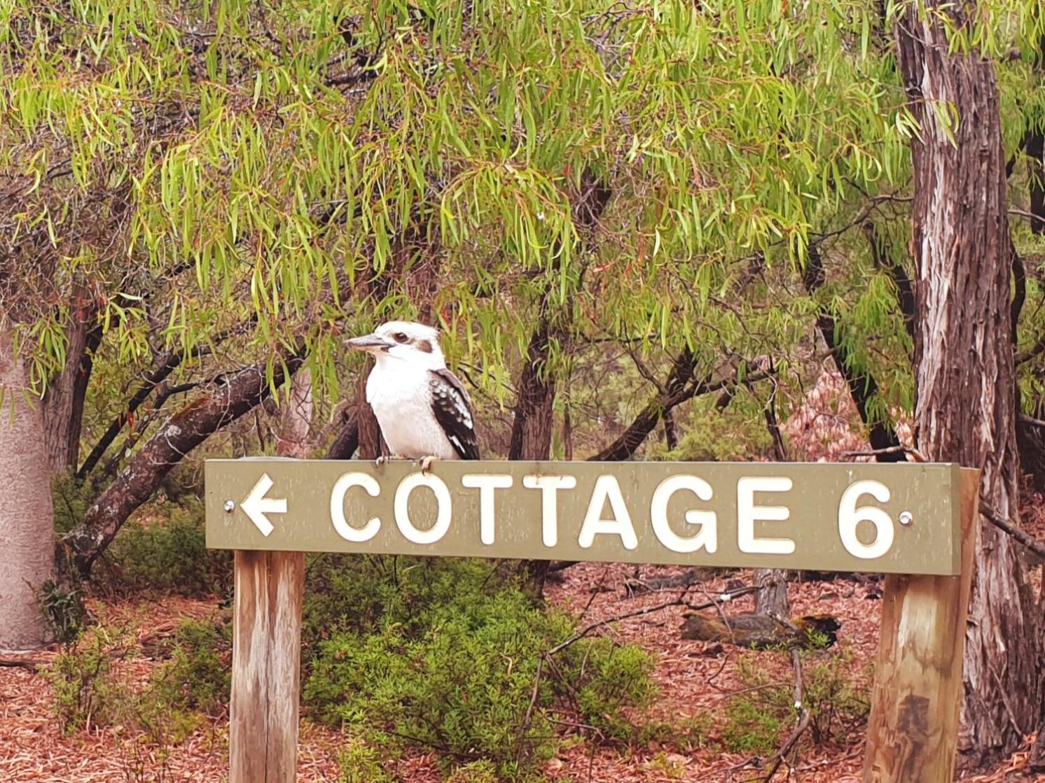 Margaret River Bussells Bushland Cottages المظهر الخارجي الصورة